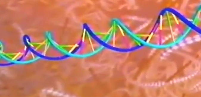 Voyage inside the cell